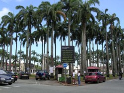 La Place des Palmistes à Cayenne en Guyane